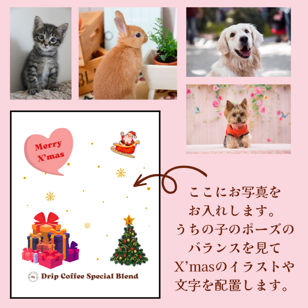 クリスマスギフト　うちの子　犬　猫　うさぎ　ハムスター　爬虫類　フトアゴヒゲトカゲ
　クレステッドゲッコー　ニホンヤモリ　レオパードゲッコー　シニアフトカゲモドキ　うちの子コーヒー
うちの子ドリップバッグ　ドリップバッグサービス　クリスマスプレゼント