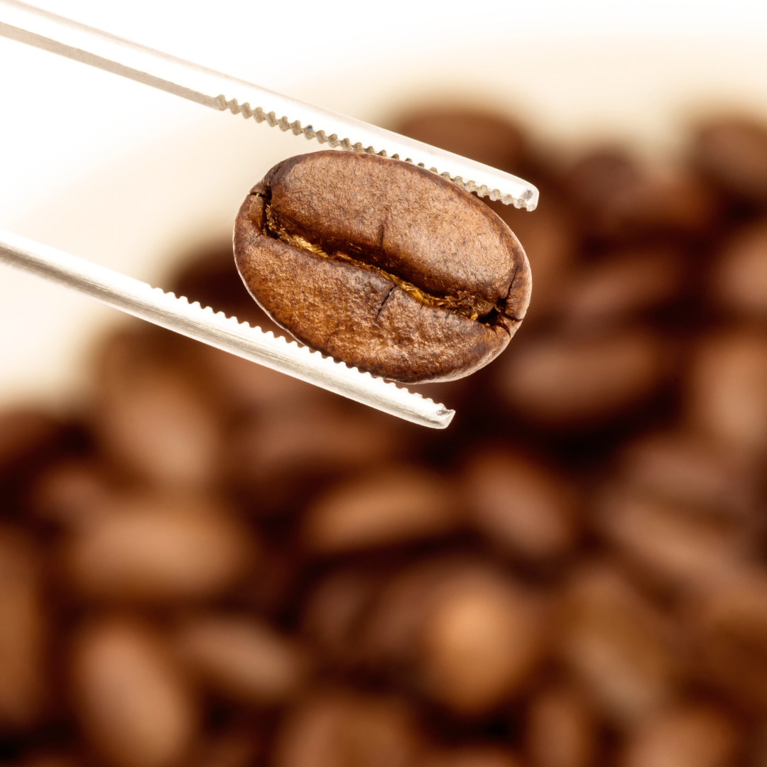 水素水で洗って乾燥させたコーヒーの生豆