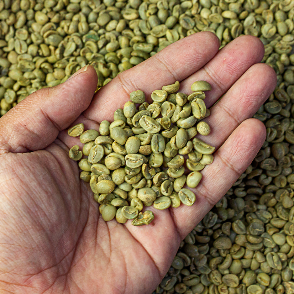 コーヒーの生豆 焙煎前 チャフ 表面の汚れ